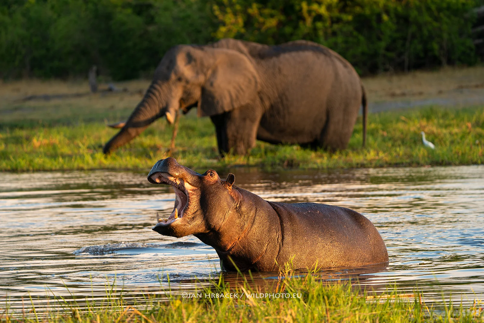 Řeka Khwai, Botswana